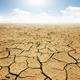 Imagen para el artículo titulado La ONU urge a evitar una grave escasez mundial de agua en 2030